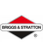 BRIGGS & STRATTON